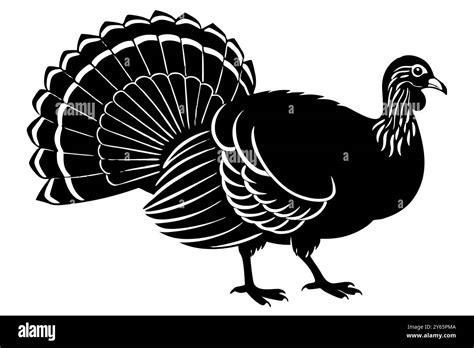 Turkey Vector Illustration Stock Vector Image And Art Alamy