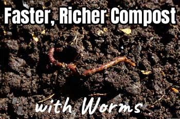 Worm Composting "How To"... with a Worm Factory 360