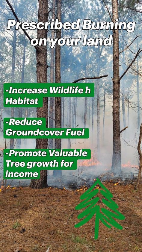 Prescribed Burning On Your Land Increase Wildlife H Habitat Reduce