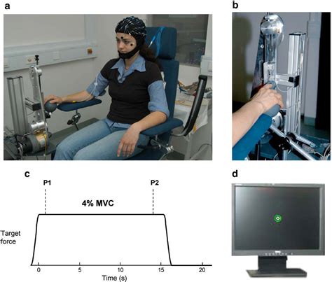 Beta Range Cortical Motor Spectral Power And Corticomuscular Coherence