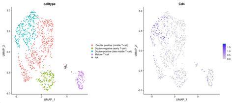 Hands On Filter Plot And Explore Single Cell Rna Seq Data With