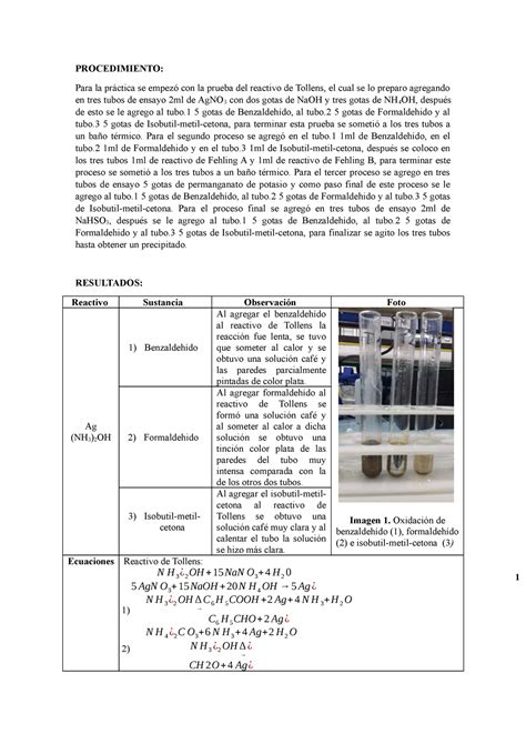 Identificaci N De Aldehidos Y Cetonas Procedimiento Para La Pr Ctica