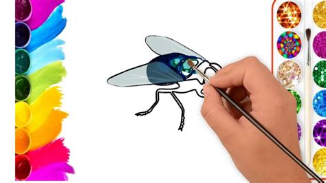 How To Drawing A Housefly How To Draw A Housefly Step By Step With AMJ