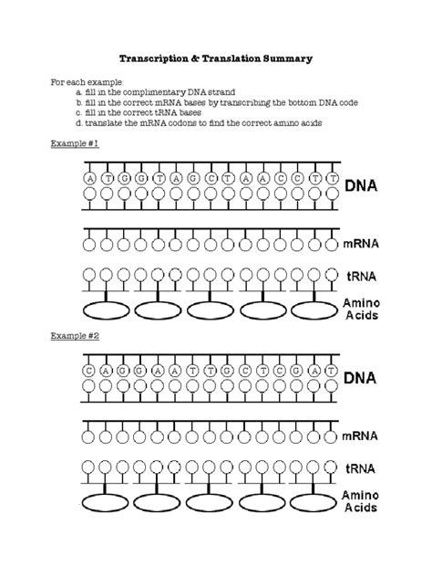 Free Printable Translation Worksheets