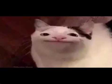 Smiling Cat Meme 2018