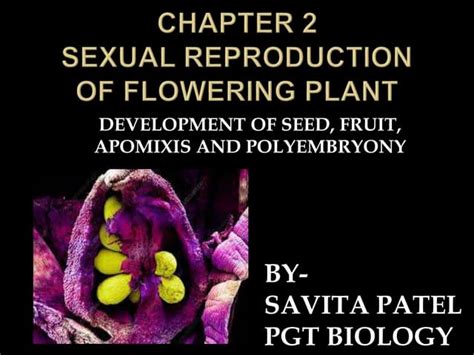 Sexual Reproduction In Flowering Plants Ppt