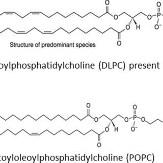 Molecular structure of some phospholipids | Download Scientific Diagram