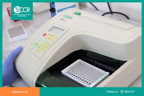 Enzyme Linked Immunosorbent Assay Elisa Reader Stem Cell And Cancer Research