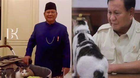 KEBIJAKAN Keras Prabowo Negara Paksa Ratusan Pengusaha Sawit Nakal