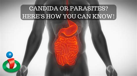 How To Tell If You Have Candida Or Parasites Youtube