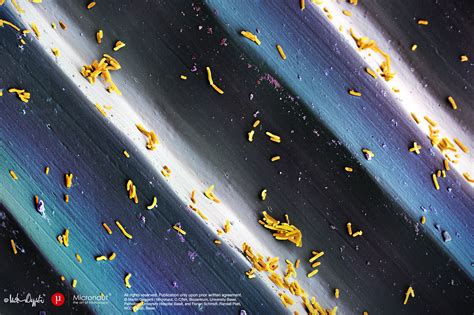 Transcriptional Recording With Record Seq Laboratory For Biological