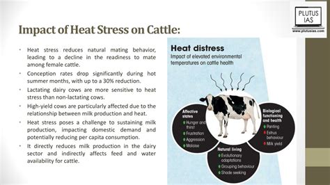 PPT Impact Of Heat Stress On Cattle PowerPoint Presentation Free