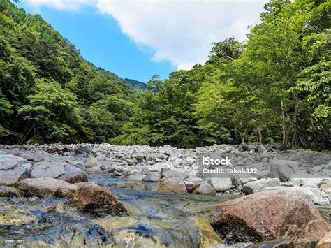 Headwaters Of The River Stock Photo Download Image Now Camping