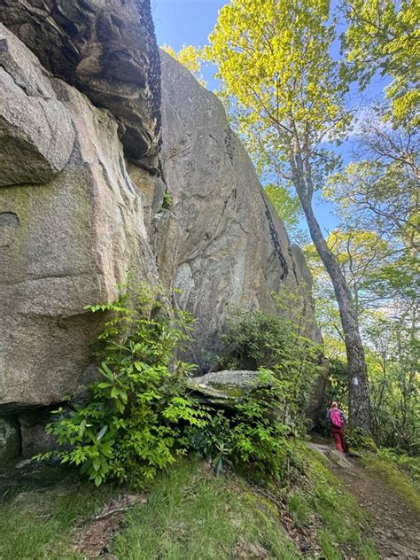 Orange Man S Appalachian Trail Journal Day Spivey Gap To