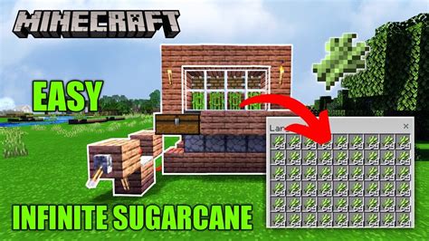 ⚒minecraft Easy 117 Sugarcane Farm Tutorial Infinite Sugarcane 7