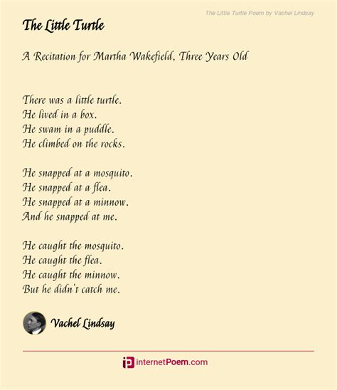 The Little Turtle Poem By Vachel Lindsay