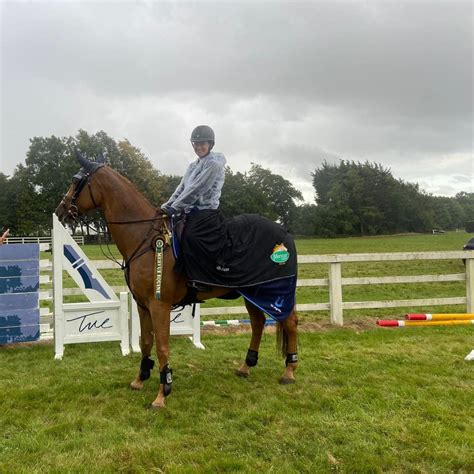 Leinster Showjumping Excitement Mounts In The Mervue Equine Leinster