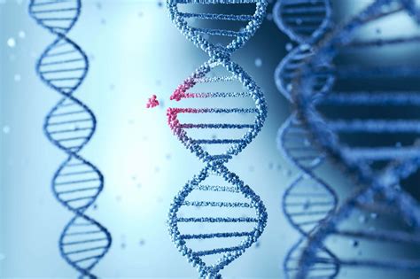 Dna Structure Ngs Sequencing Misumi Mech Lab Blog