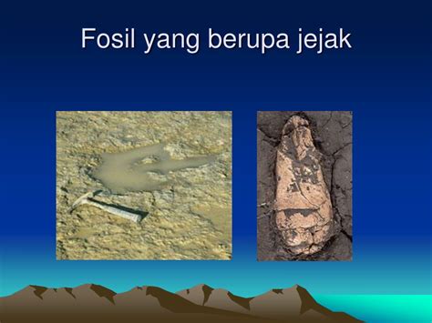 Ppt Paleontologi Powerpoint Presentation Free Download Id883504