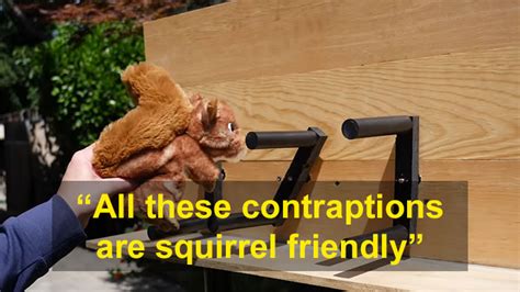 Former NASA Engineer Created An Obstacle Course To Stop Squirrels From ...