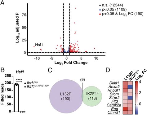 Ikzf L P L P Fob Cells Have A Unique Gene Signature Including A