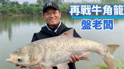 【鄧剛釣魚】100塊一小時的牛角籠，四個小時狂釣500斤，老闆當場崩潰！ Youtube