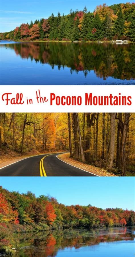 Peak Fall Foliage 2024 In Poconos Asia Fionnula