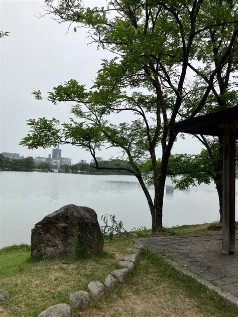 朝散歩で菖蒲園行って来ました 癒しの中の暮らし