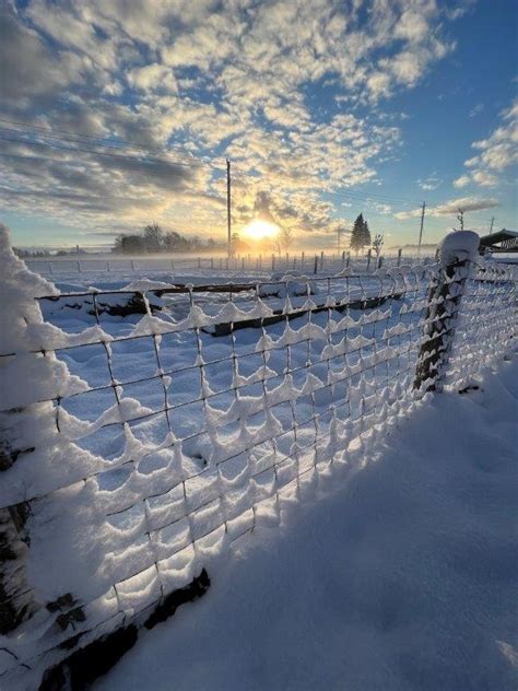 First Snowfall of 2023 | CTV News