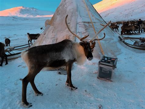 Ionel Istrati Si A Lansat Noul Videoclip Filmat In Tundra Siberiana