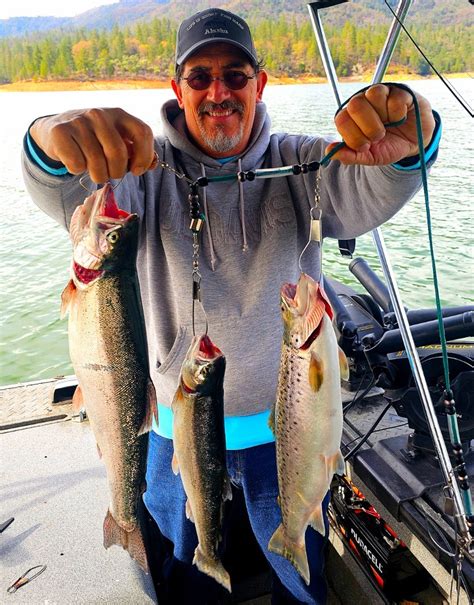 Shasta Lake Fish Reports Map