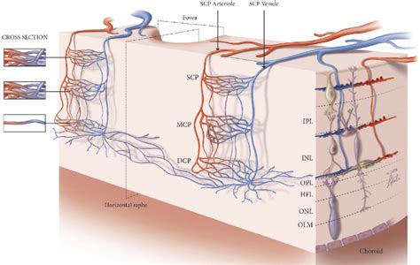 Proposed Three Dimensional Illustration Of Connectivity And