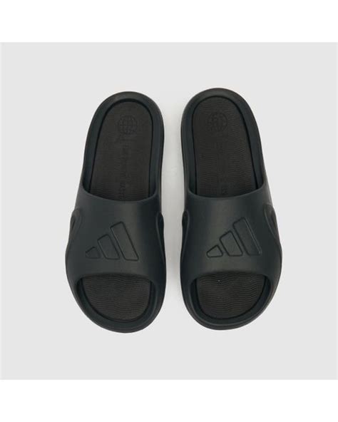 Adidas Adicane Slide Sandals In Black For Men Lyst Uk