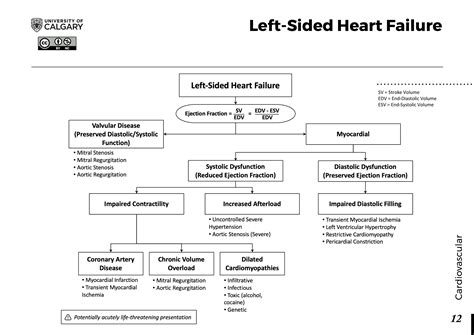 Left Sided Heart Failure Blackbook Blackbook