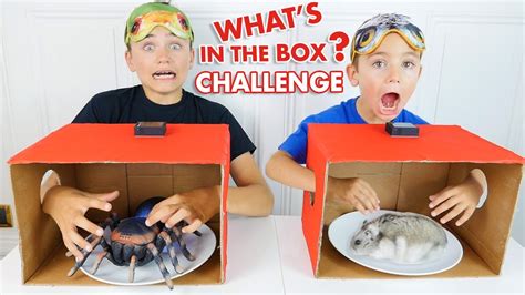 WHAT S IN THE BOX CHALLENGE C est quoi dans la boite Néo VS