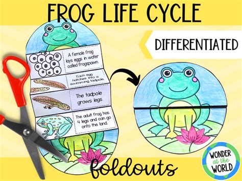 Frog Life Cycle Craft