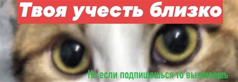 Мильпопс | ВКонтакте