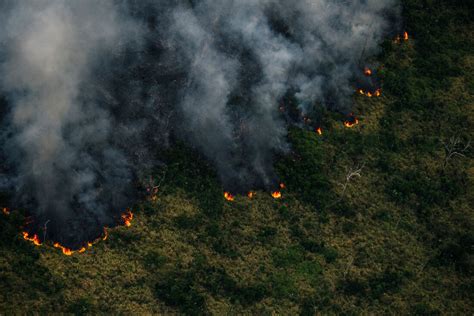 Amaz Nia Bate Recorde De Queimadas Em Fevereiro Folha Pe