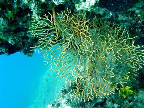 Open Sea Diving Zadar 2025 All You Need To Know Before You Go With