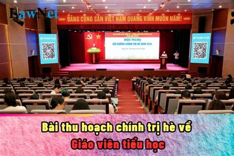 Bài thu hoạch chính trị hè 2024 giáo viên tiểu học