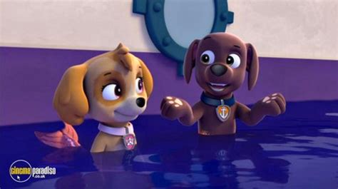 Mer Pup Wiki Paw Patrol World Amino