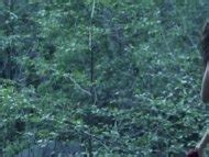 Naked Stasi Esper In Dark Moon Rising II