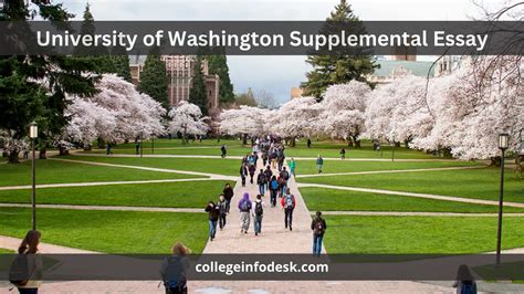 University Of Washington Supplemental Essay 2024 Strategies And Insights For Success College