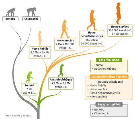 Les Premiers Tres Humains Lelivrescolaire Fr