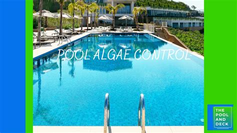 Pool Algae Control: 8 Top Tips That Are Effective