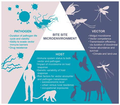 Vaccines Free Full Text Time To Micromanage The Pathogen Host