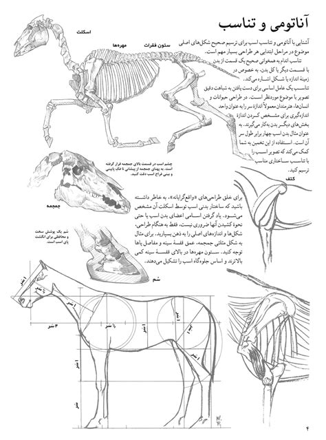 طراحی اسب‌ طراحی اسب‌ها انتشارات برگ‌نگار