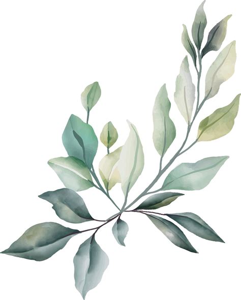 Leaves Flowers In Watercolor For Decoration Lime Green And Gray Color