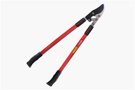 The 10 Best Loppers Improb