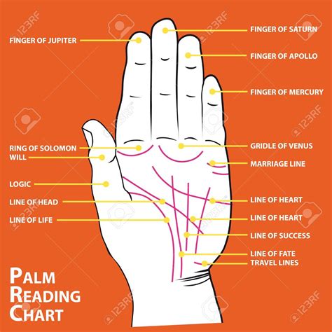 Mapa De Quiromancia De Las L Neas Principales De Palm Ilustraciones